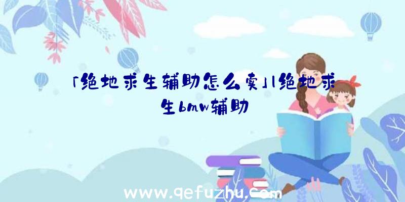 「绝地求生辅助怎么卖」|绝地求生bmw辅助_